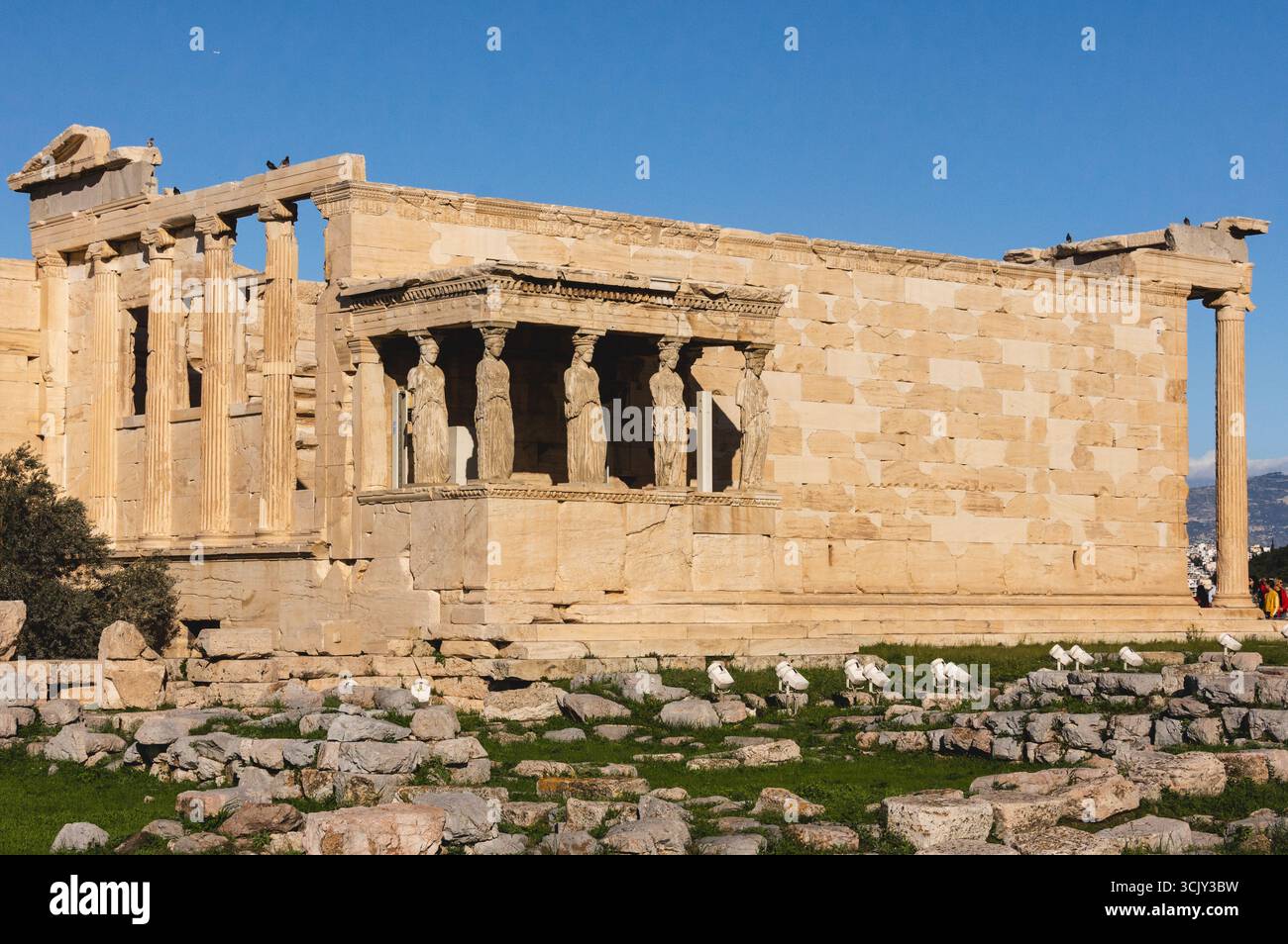 Erechtheion temple at Acropolis hill in Athens, Greece, showcasing the ...