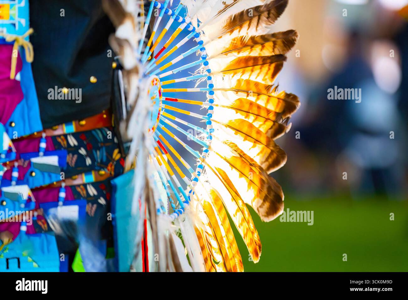 A close-up view of a traditional Native American tribal costume with ...