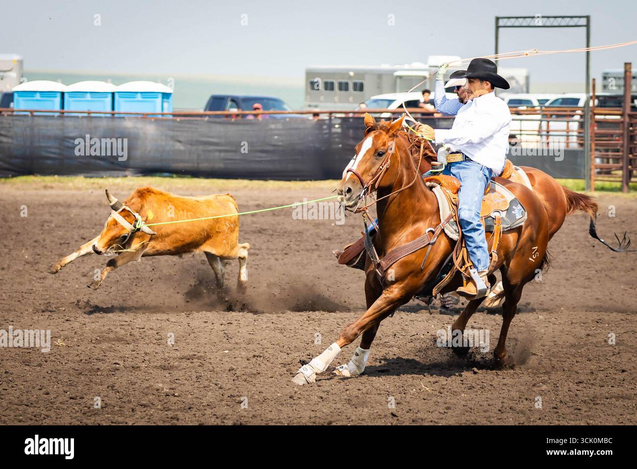 White Shield, ND, USA - July 12 2025: Men at a rodeo work together to ...