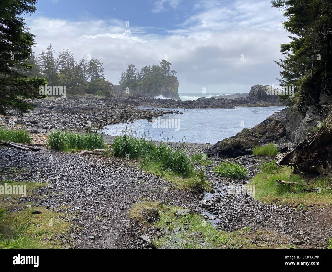 Wild Pacific Trail, Lighthouse Loop, Ucluelet, Vancouver Island, British Columbia, Canada - Smartphone Captured Stock Image