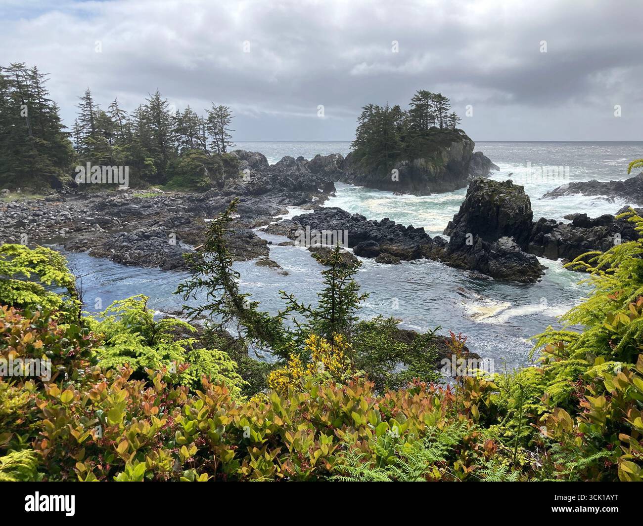 Wild Pacific Trail, Lighthouse Loop, Ucluelet, Vancouver Island, British Columbia, Canada - Smartphone Captured Stock Image