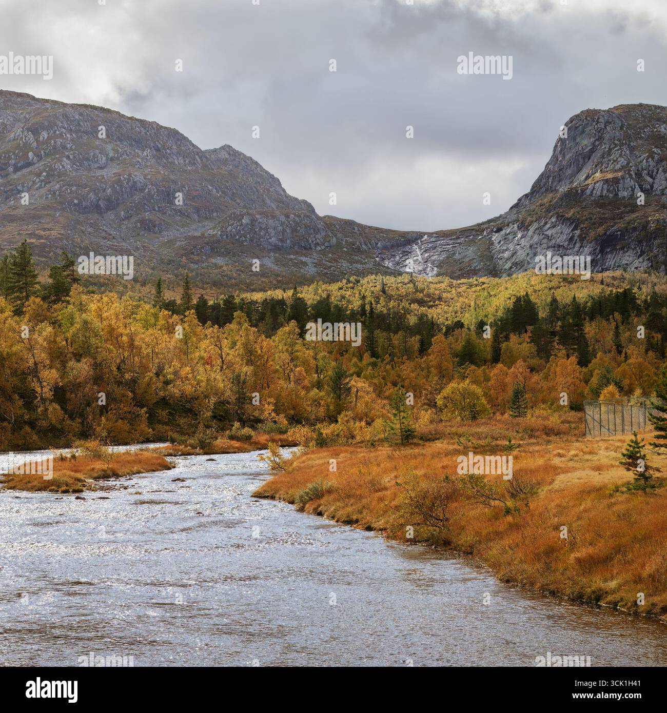 Raw autumn wilderness in Norwegian mountains- golden forest wraps around a cold river under a dramatic sky, reflecting the untouched beauty of the sea Stock Photo