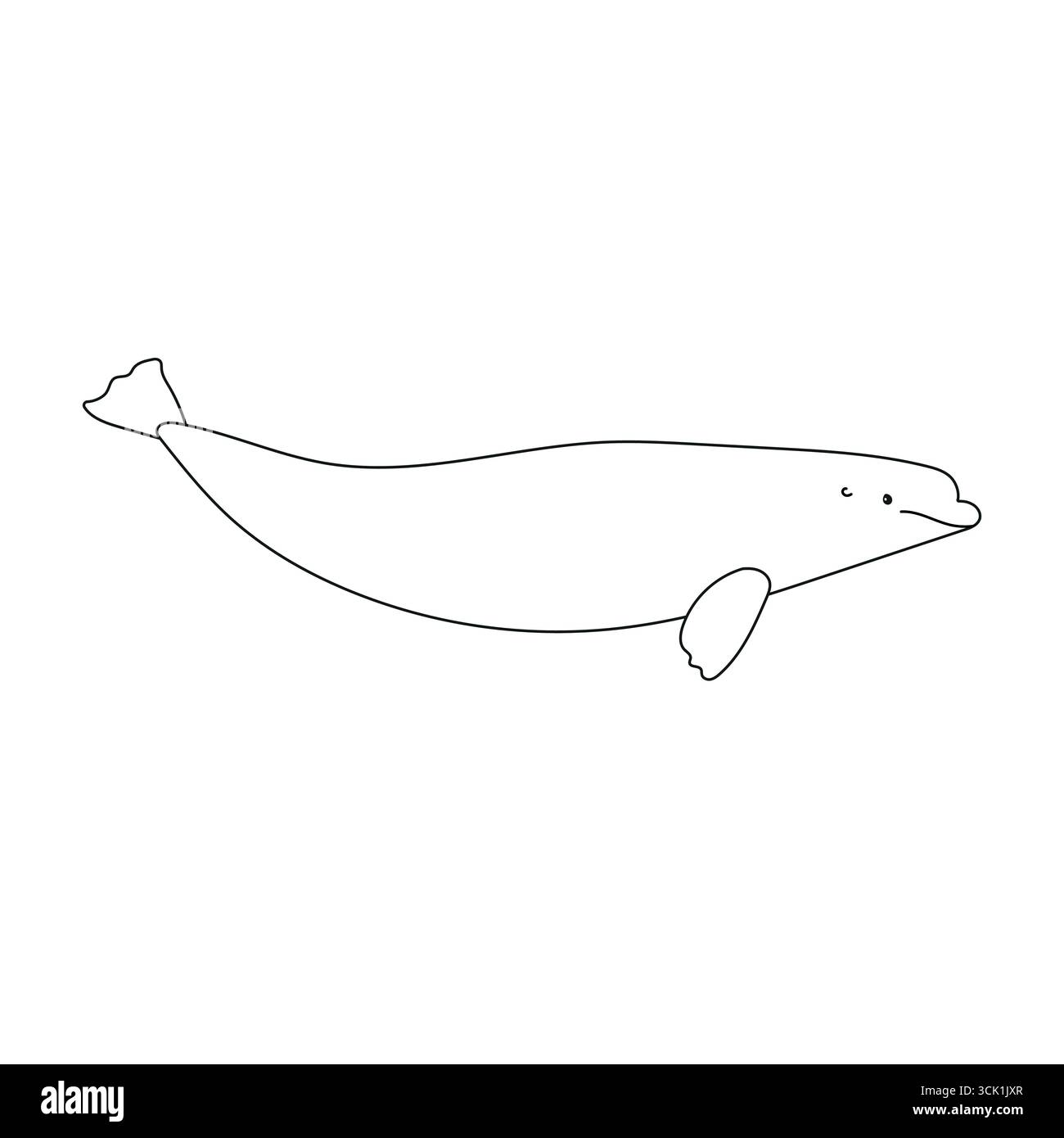 Vector flat hand drawn outline beluga whale isolated on white background Stock Vector