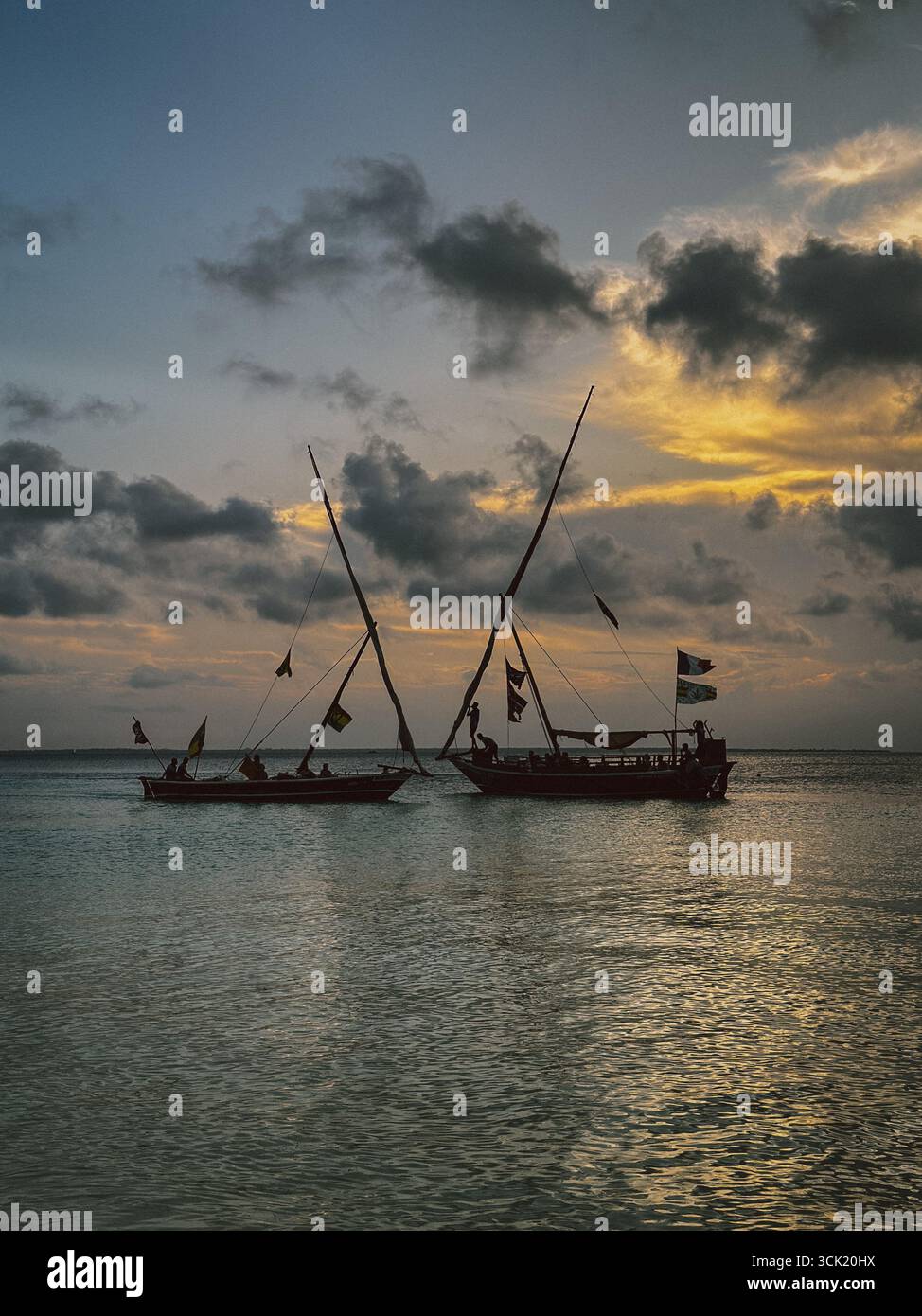 Tropical beach with sand, turquoise ocean and palm on Zanzibar Island, Tanzania, East Africa - Smartphone Captured Stock Image