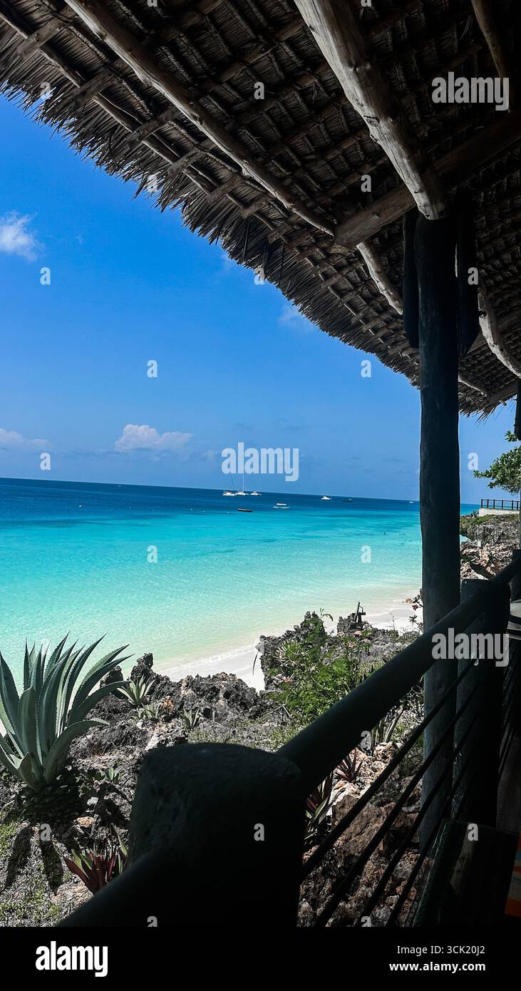 Tropical beach with sand, turquoise ocean and palm on Zanzibar Island, Tanzania, East Africa - Smartphone Captured Stock Image