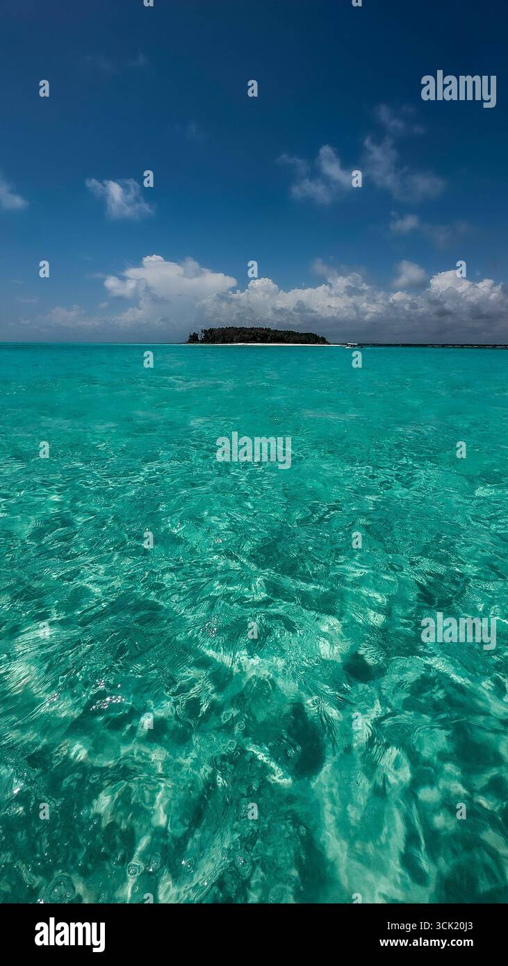 Tropical beach with sand, turquoise ocean and palm on Zanzibar Island, Tanzania, East Africa - Smartphone Captured Stock Image