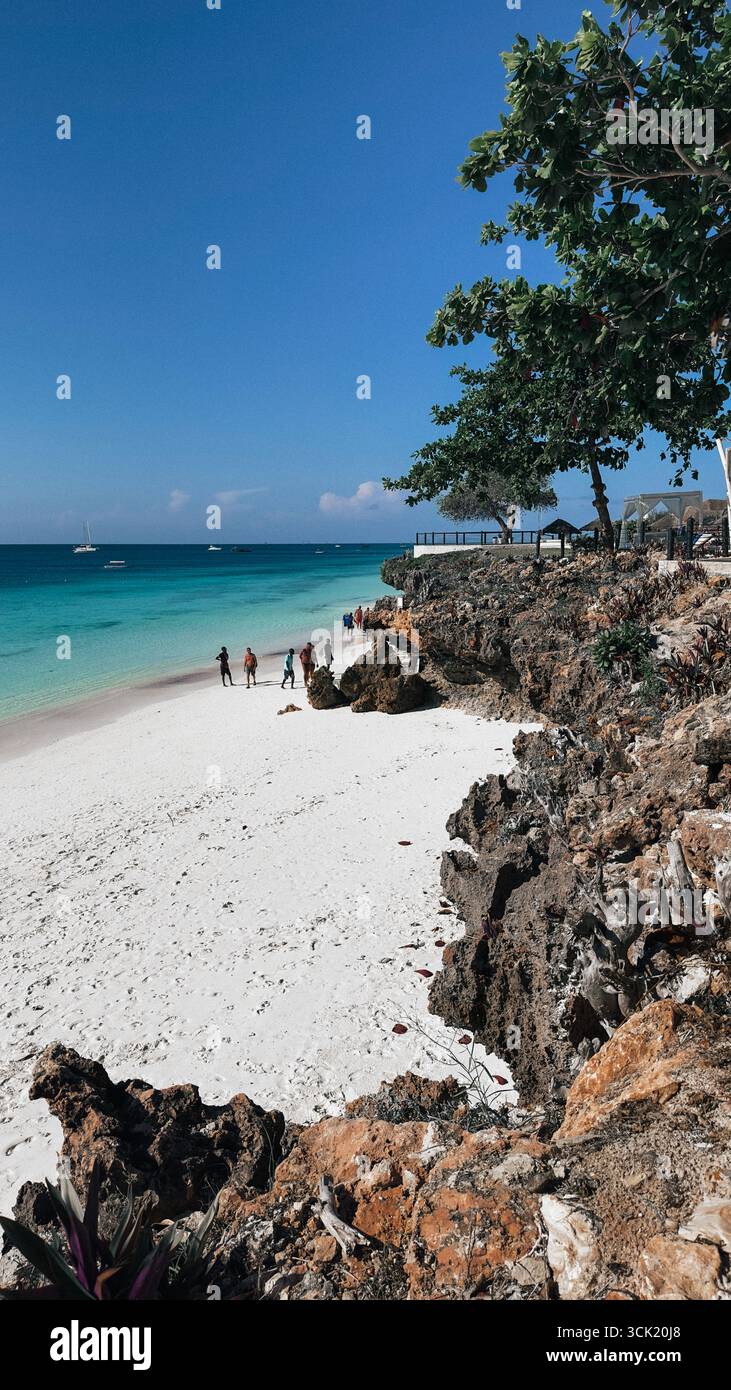 Tropical beach with sand, turquoise ocean and palm on Zanzibar Island, Tanzania, East Africa - Smartphone Captured Stock Image