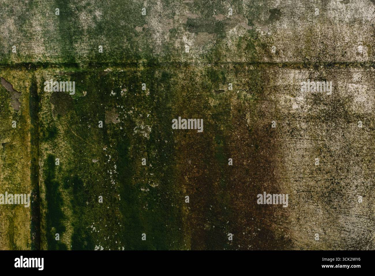 Green Moss on the old Concrete wall surface Stock Photo