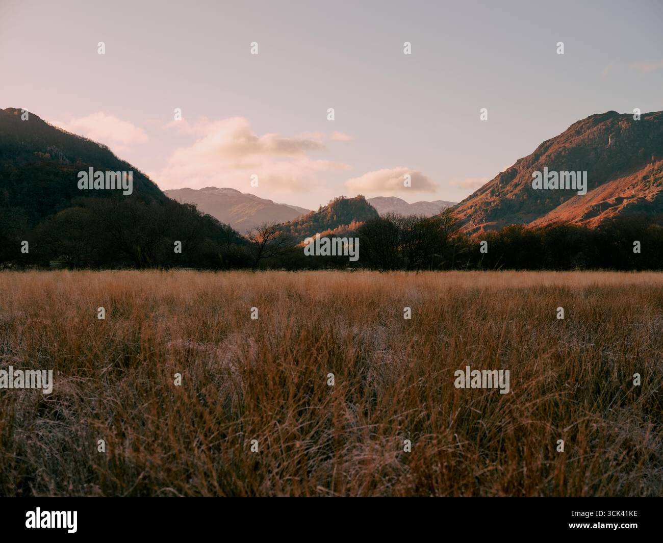 Castle Crag, Jaws of Borrowdale, Derwent Water in autumn, Cumbria, Lake District National Park, England, UK - flood meadow plain Stock Photo