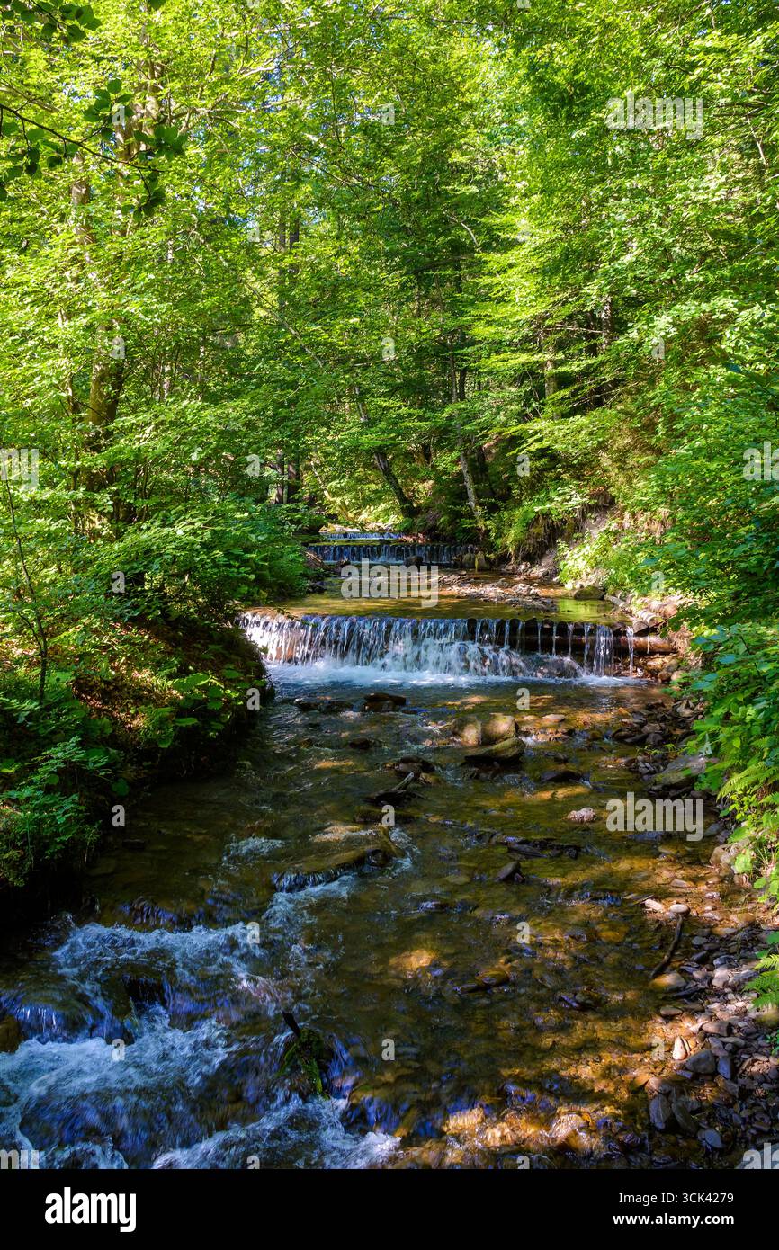 Stream summer sun water hi-res stock photography and images - Alamy