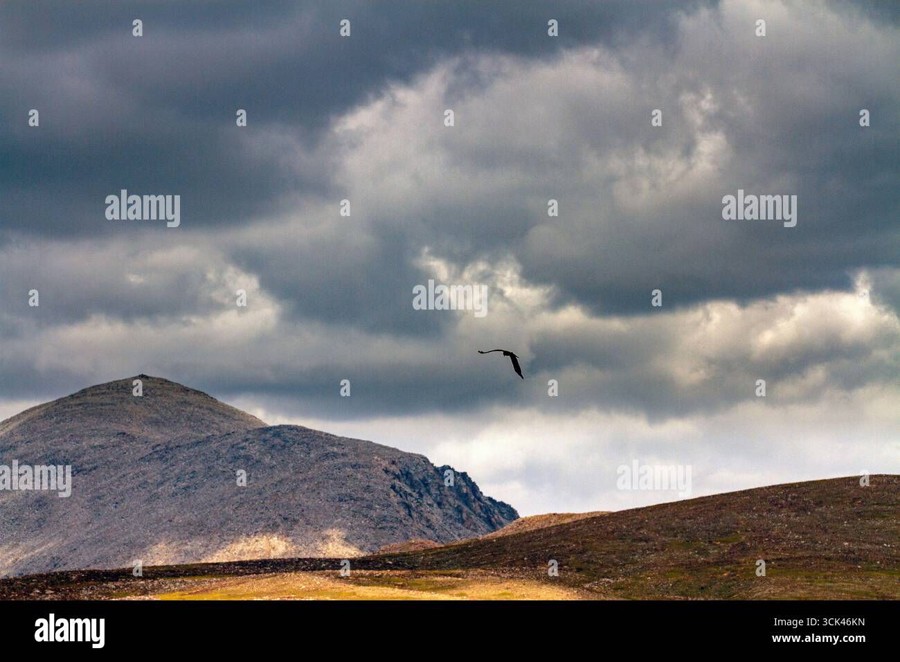 View of a bird soars across a landscape of rugged mountains and rolling ...