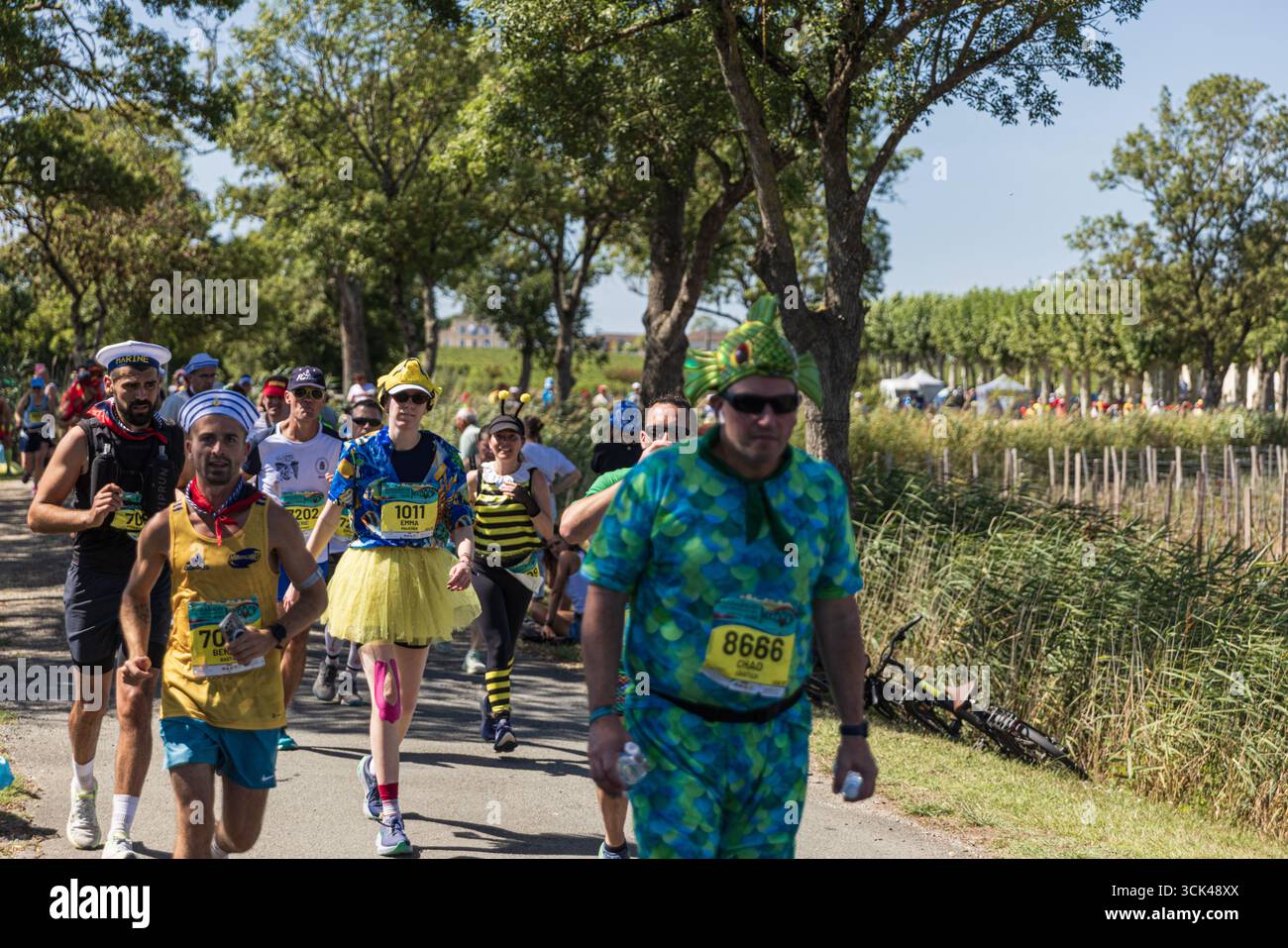 PAUILLAC, FRANCE - SEPTEMBER 6, 2025: Numerous runners crossing the Medoc landscape during the Marathon du Medoc Stock Photo