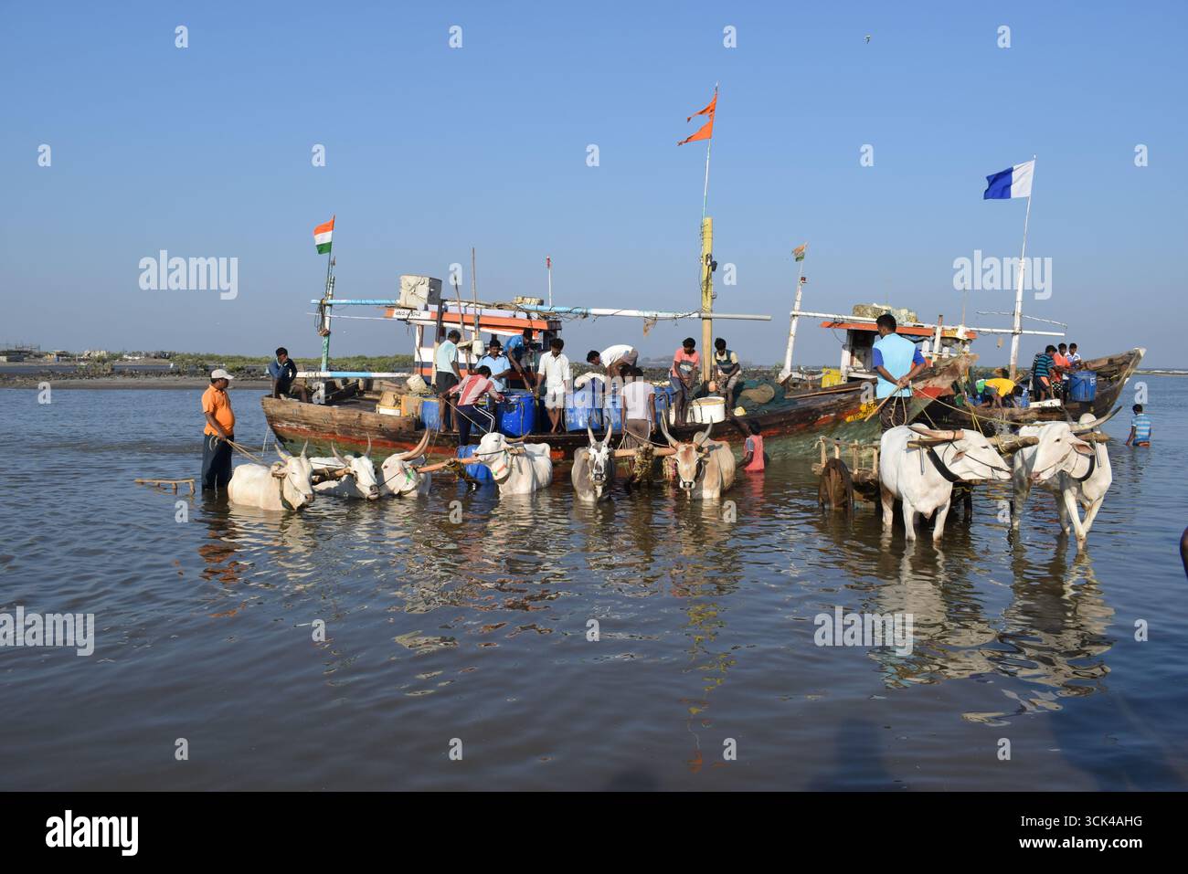 Castal life hi-res stock photography and images - Alamy