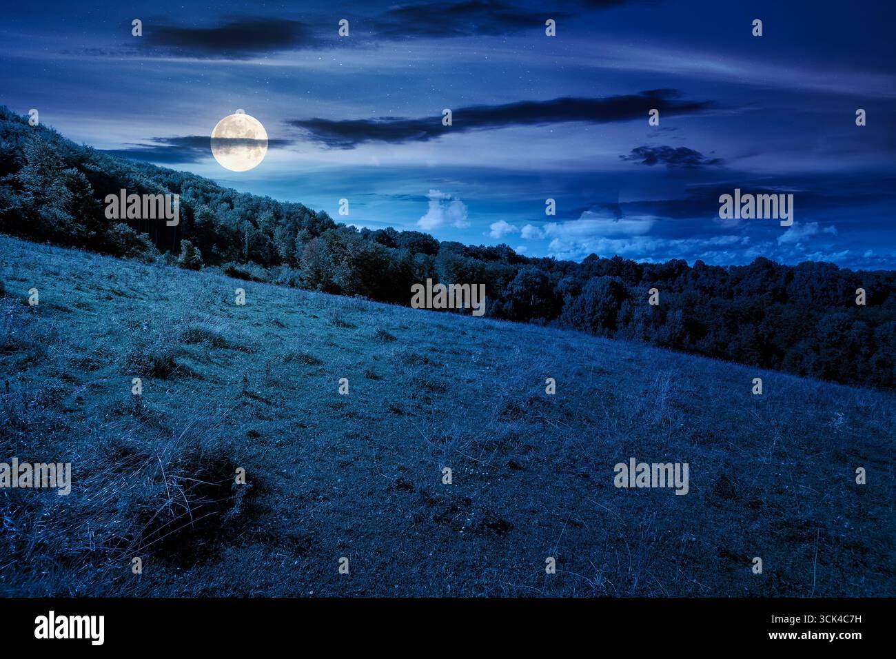 forest on the hill in rural area of mountains in autumn at night. wonderful scenery of countryyside district in full moon light. deciduous trees near Stock Photo