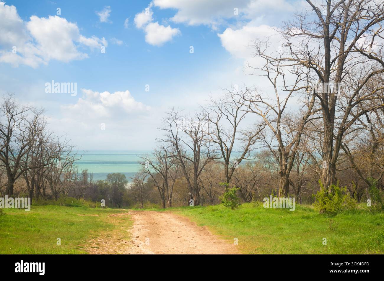 Path through a park in sea hi-res stock photography and images - Alamy