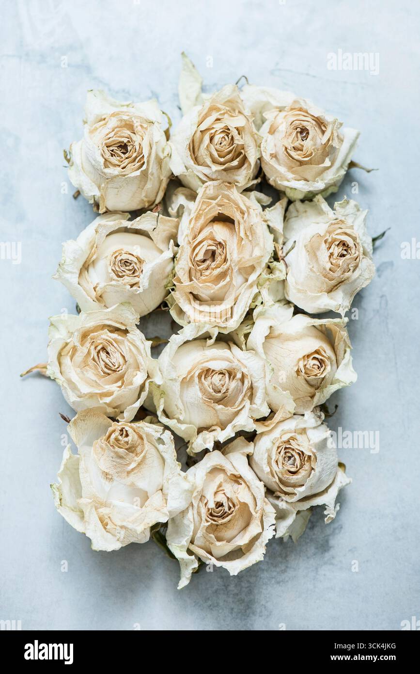 Dried rose heads, close-up, overhead view Stock Photo