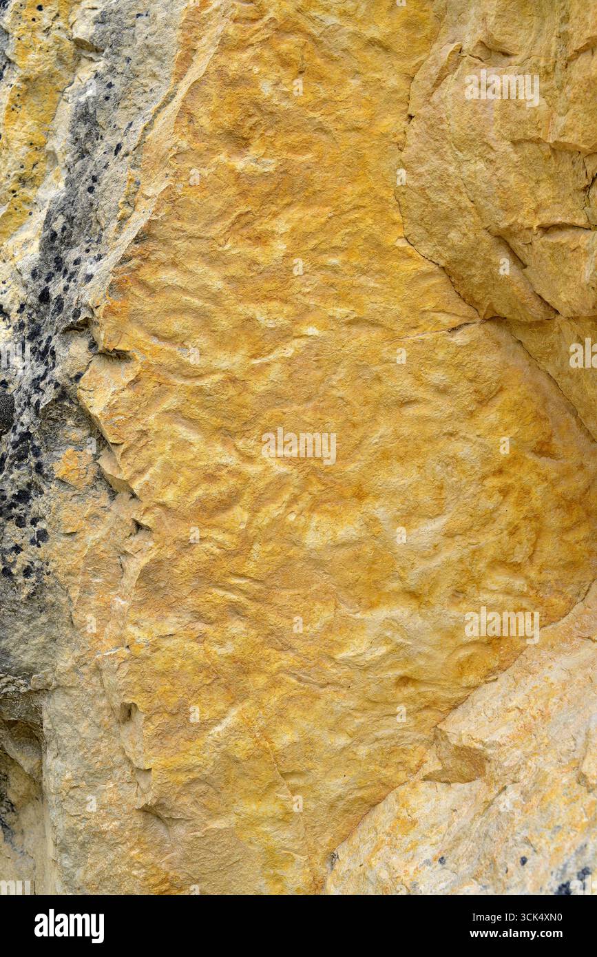 Limestone with fossilized ripple marks. This photo was taken in Alto Tajo Natural Park, Guadalajara, Castilla-La Mancha, Spain. Stock Photo