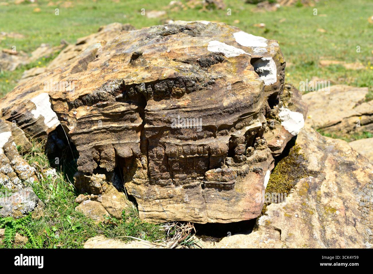 Chromitite and dunite. Chromitite is an igneous rock composed mostly of ...