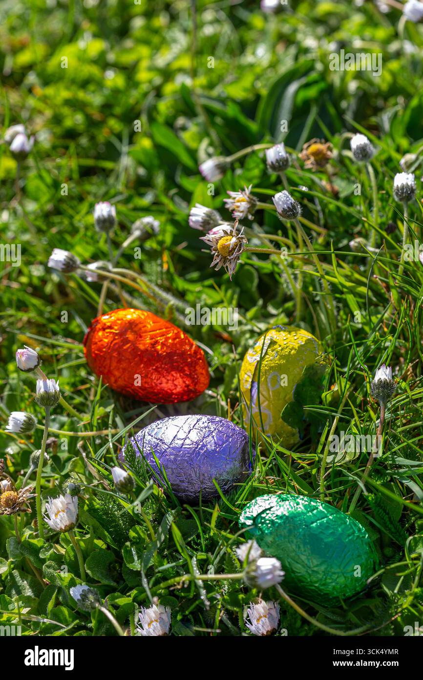Colourful chocolate eggs in the grass Stock Photo