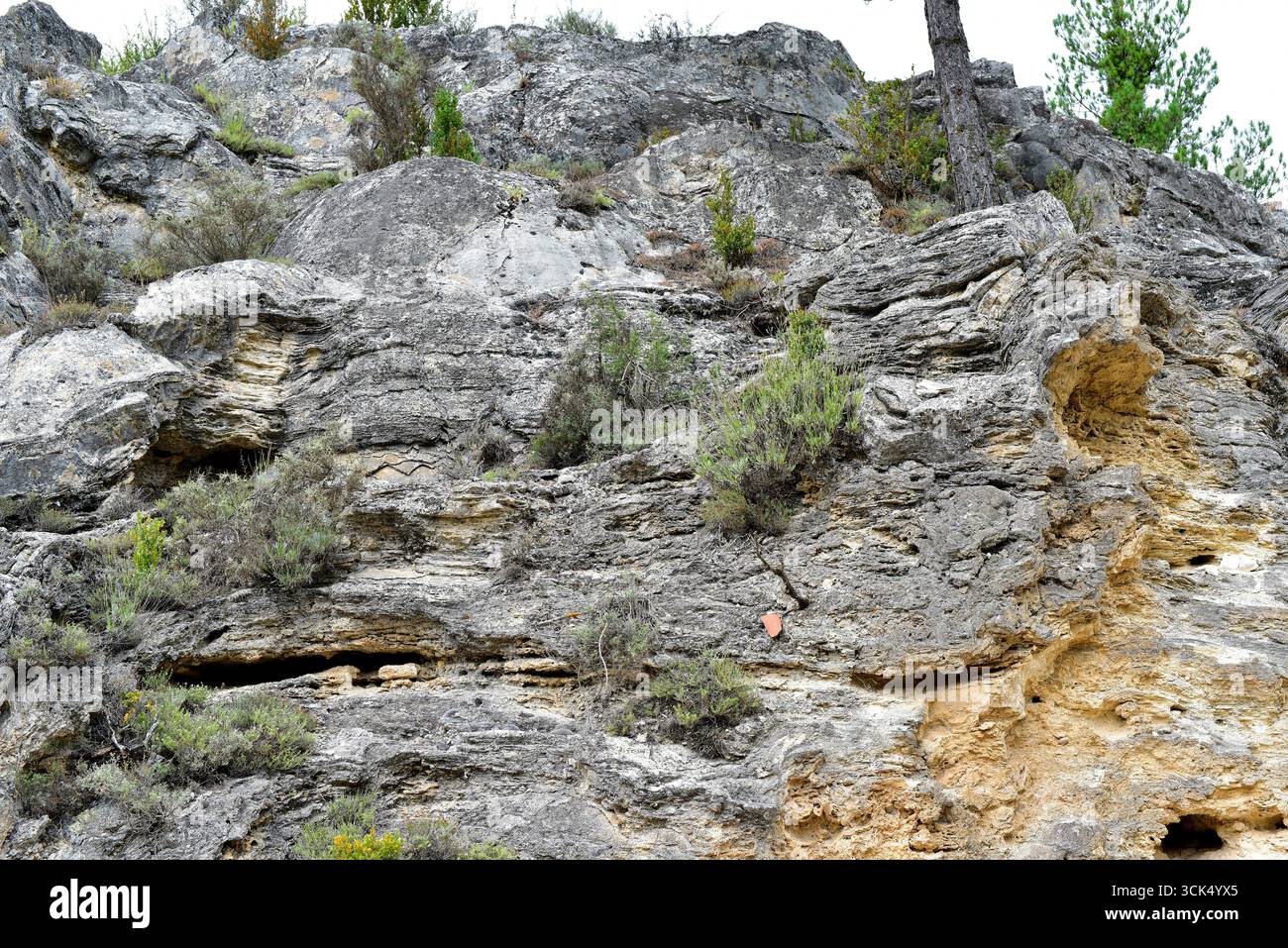 Precipition Rocks Travertine formation. Travertine is a sedimentary rock formed by ...