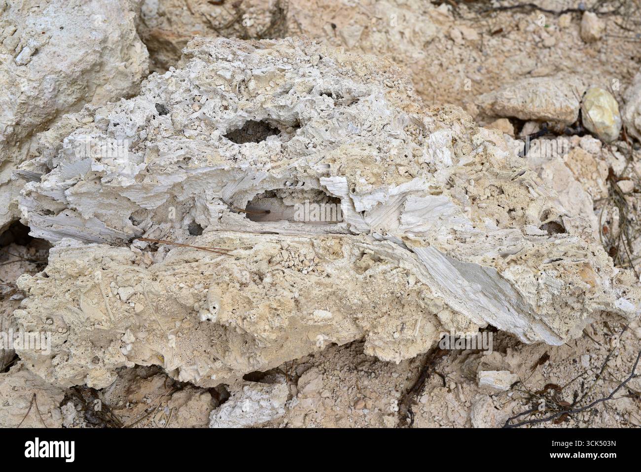 Travertine formation. Travertine is a sedimentary rock formed by ...