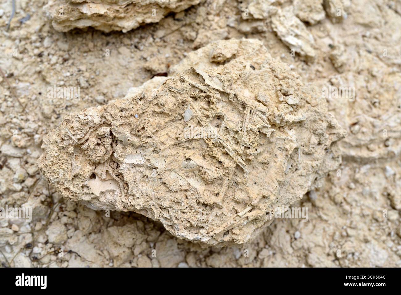 Travertine formation. Travertine is a sedimentary rock formed by ...