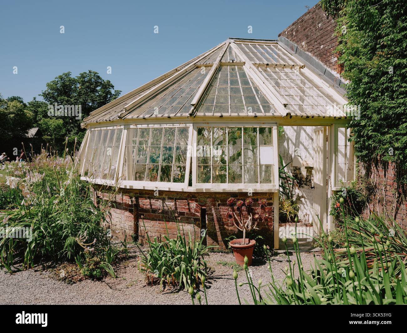 A greenhouse in the Greenway House estate on the River Dart near Galmpton in Devon, England.UK Stock Photo