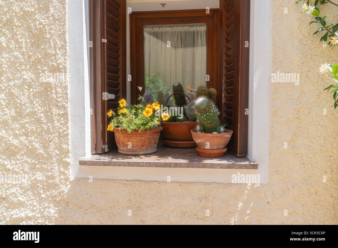Diverse plants hi-res stock photography and images - Alamy