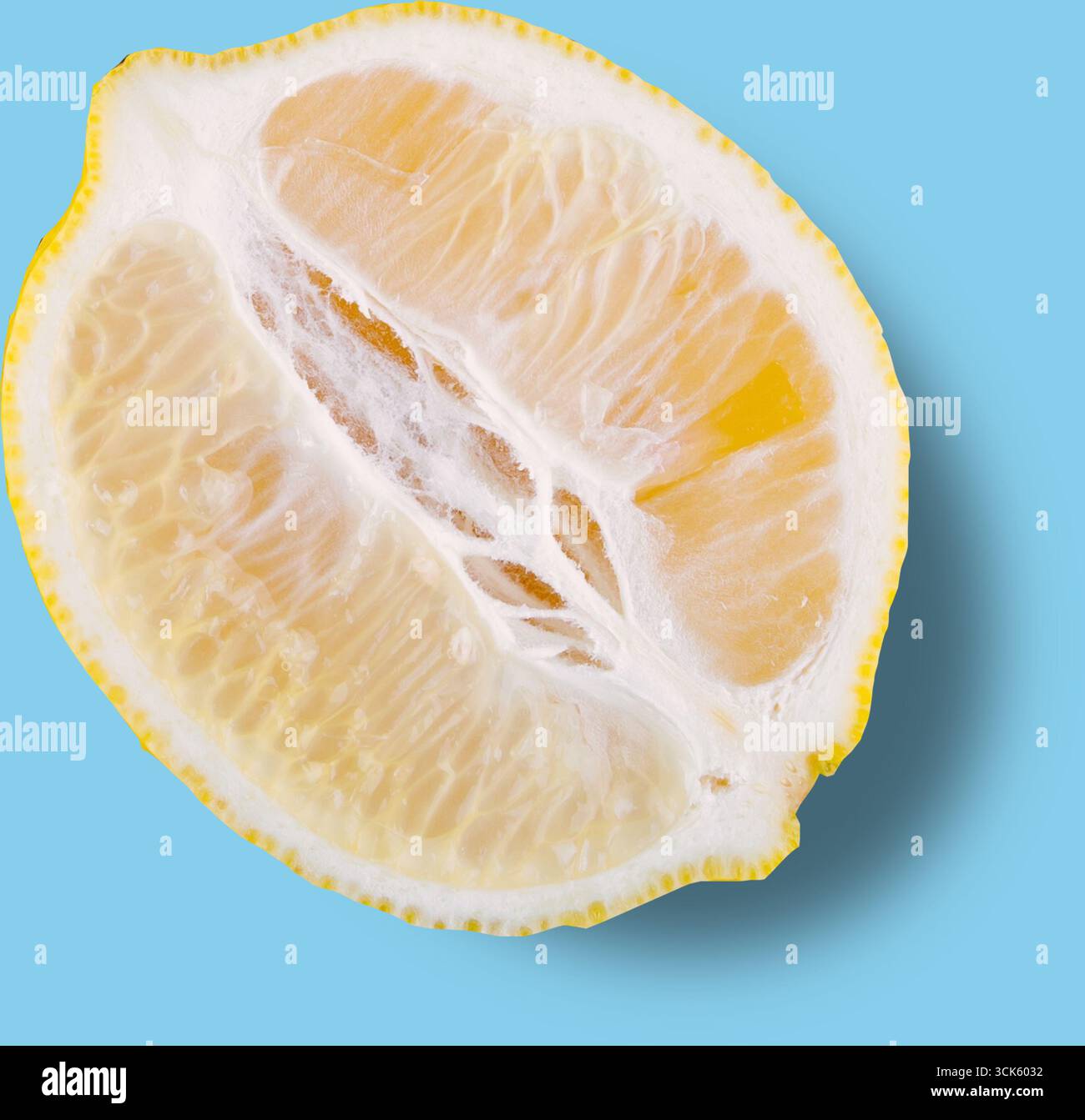 Lemon Rinde A cross-section of a lemon showcasing its juicy interior and textured ...