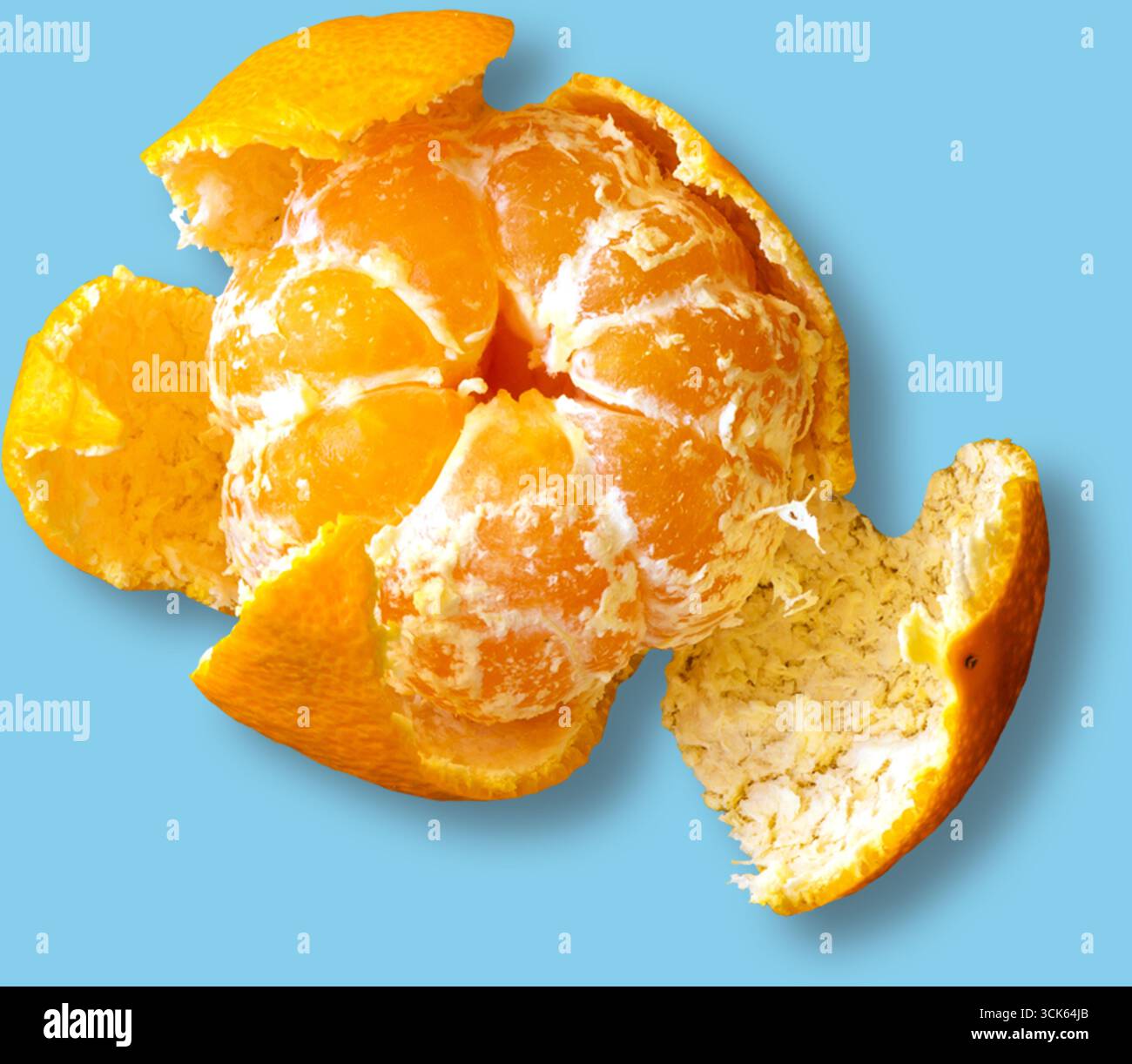Showcasing its segments hi-res stock photography and images - Alamy