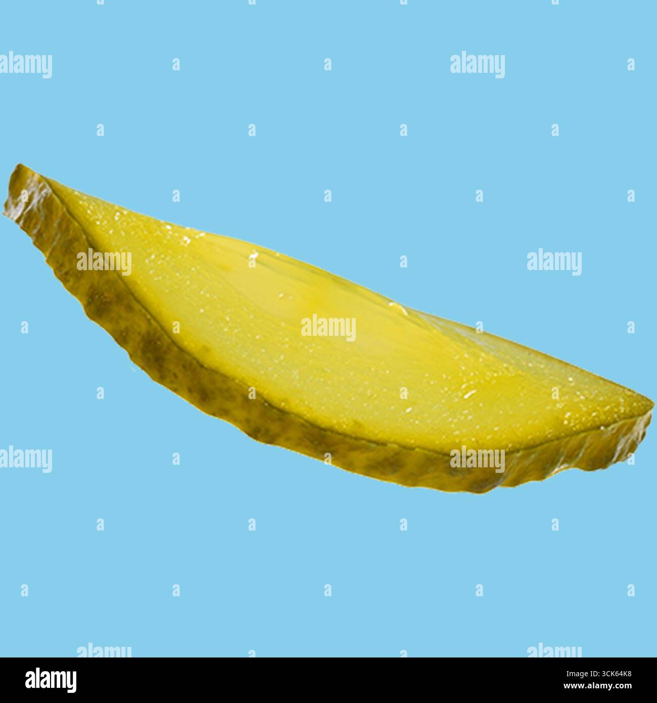 A single slice of pickled cucumber, showcasing its vibrant green color and glossy surface, often used as a condiment or snack. Stock Photo