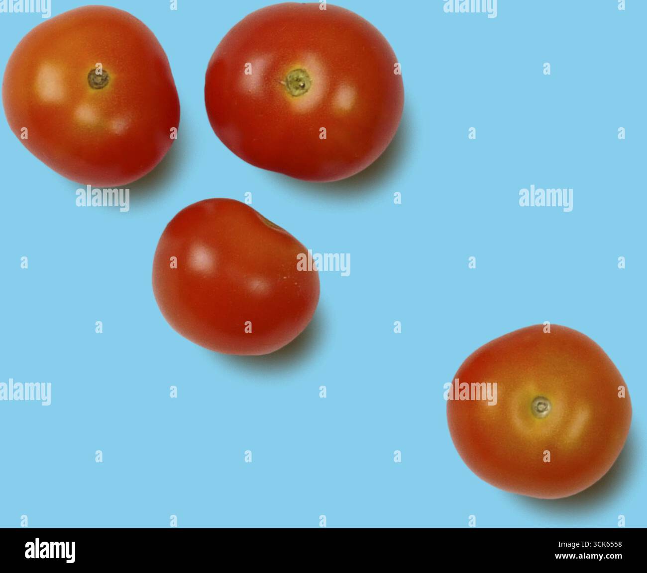 A collection of four ripe red tomatoes arranged in a casual layout, showcasing their vibrant color and fresh appearance. Stock Photo
