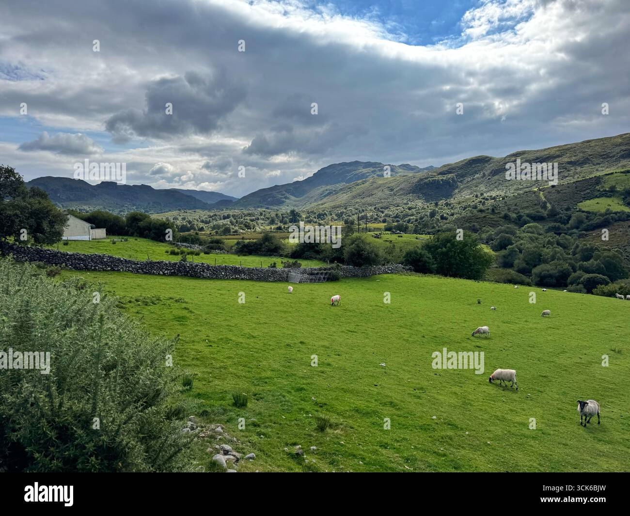 View from the L4010 road looking west, County Kerry, Ireland. - Smartphone Captured Stock Image