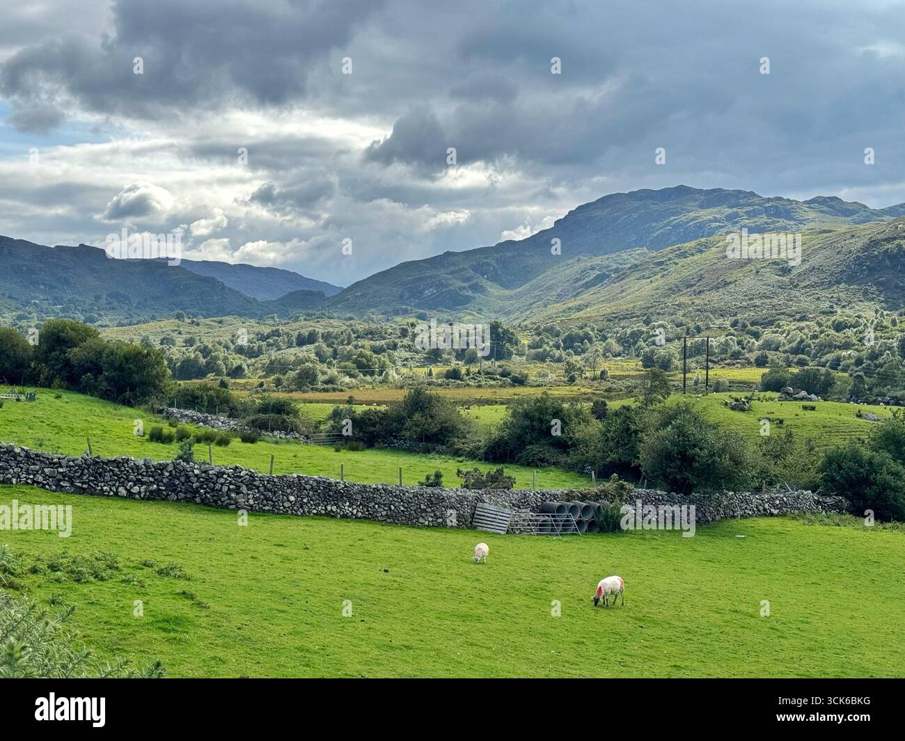 View from the L4010 road looking west, County Kerry, Ireland. - Smartphone Captured Stock Image