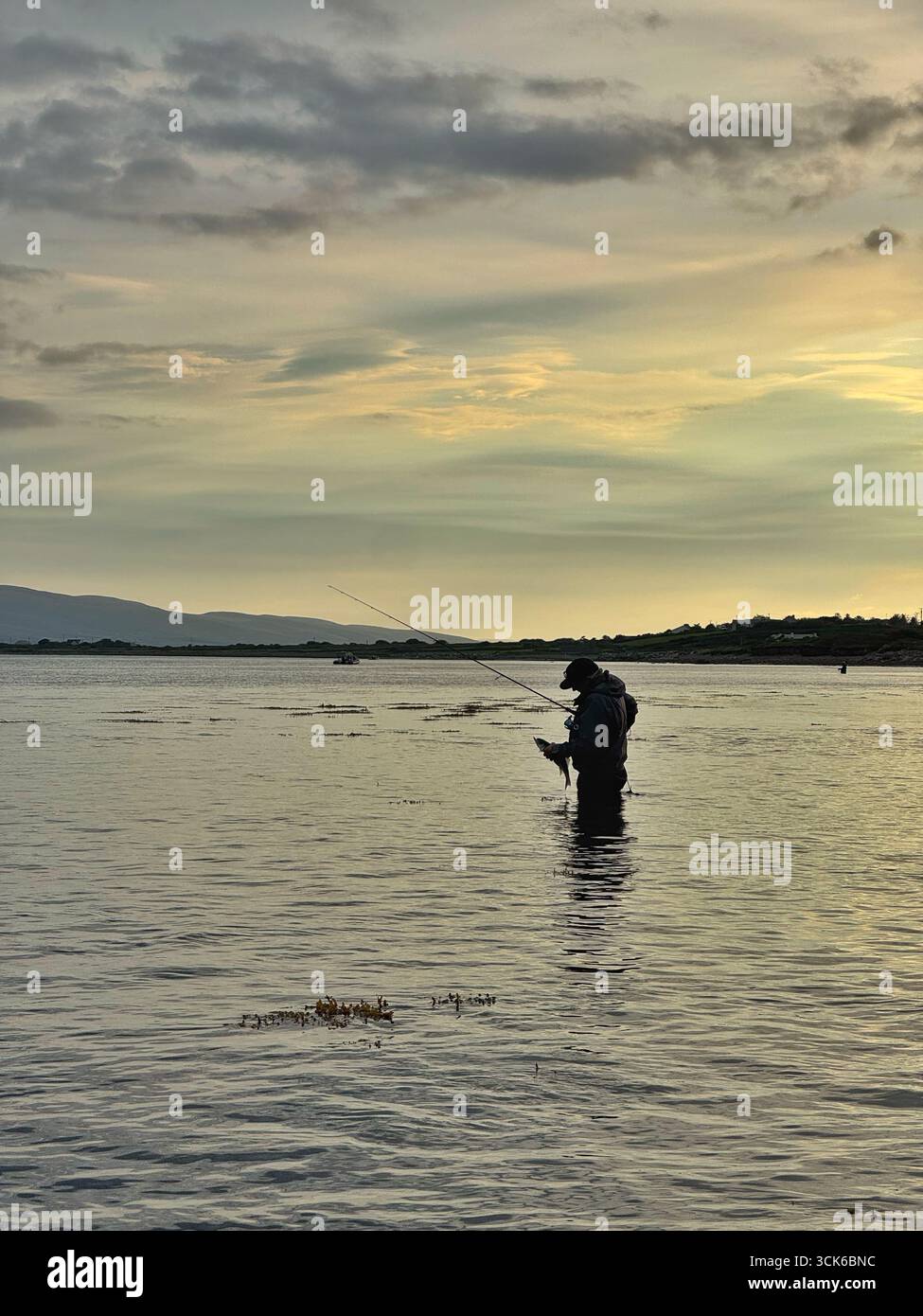 An angler fishing in an estuary in county Kerry, south west Ireland, shortly after sunrise. - Smartphone Captured Stock Image