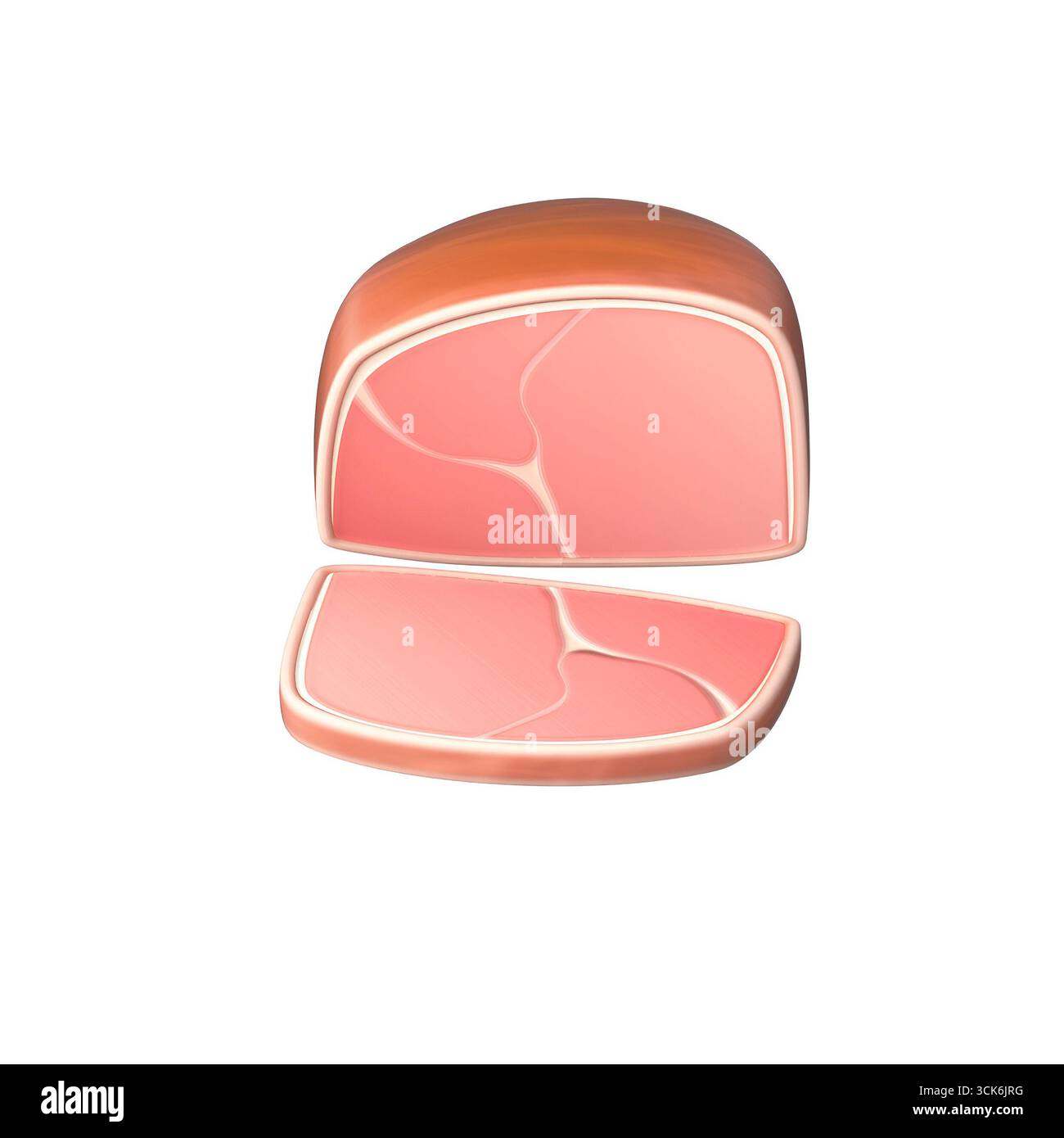 Meat Muscle Moving A stylized illustration of a piece of meat, showcasing its cross ...