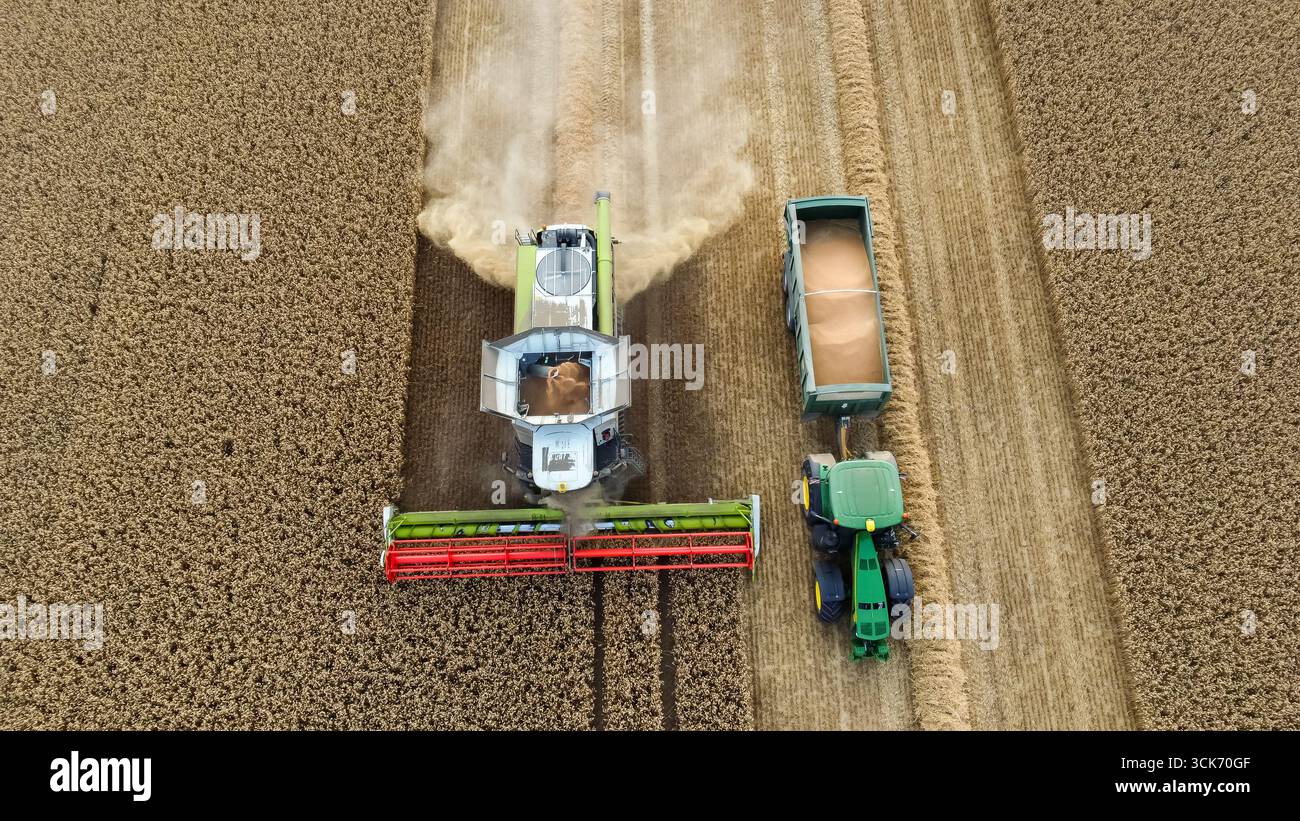 Aerial view of combine harvester and tractor harvesting wheat Stock ...