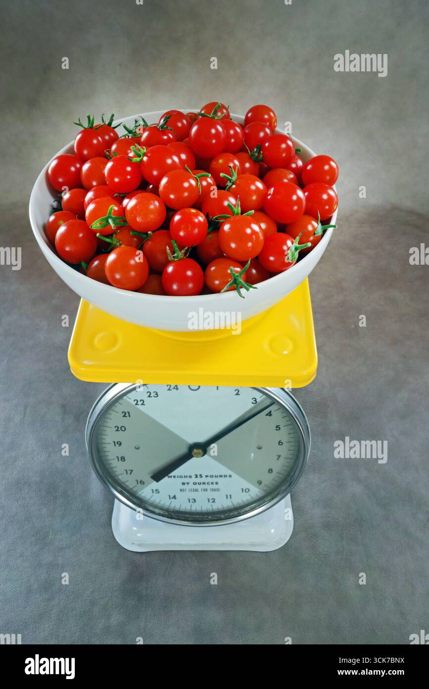 A bowl of ripe, organic, cherry tomatoes on a scale fresh from being picked from a small organic home garden near Bend, Oregon. Stock Photo