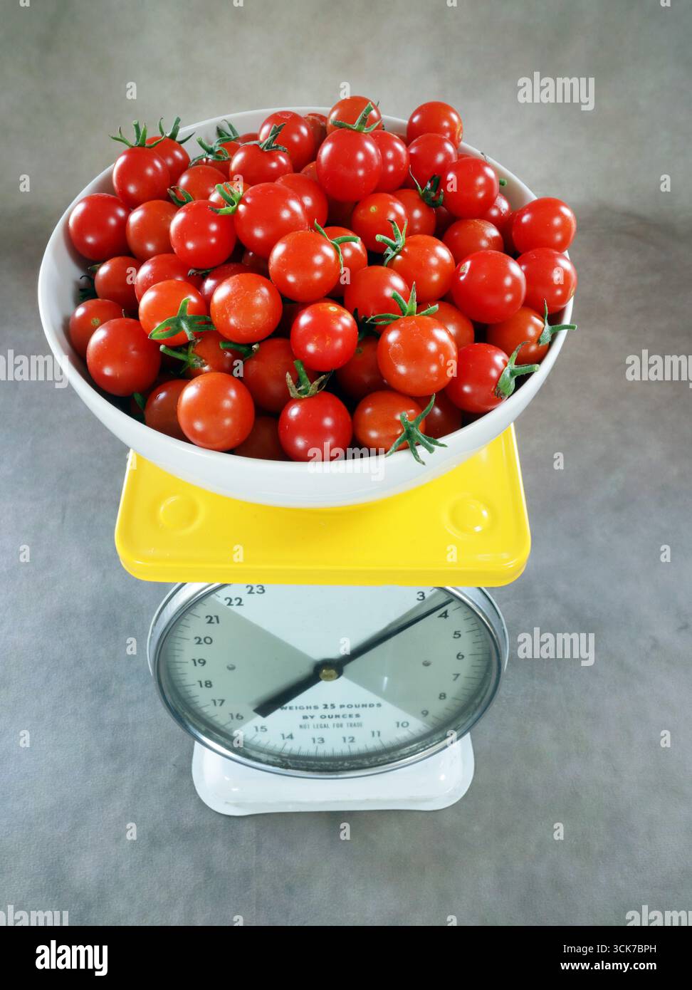 A bowl of ripe, organic, cherry tomatoes on a scale fresh from being picked from a small organic home garden near Bend, Oregon. Stock Photo