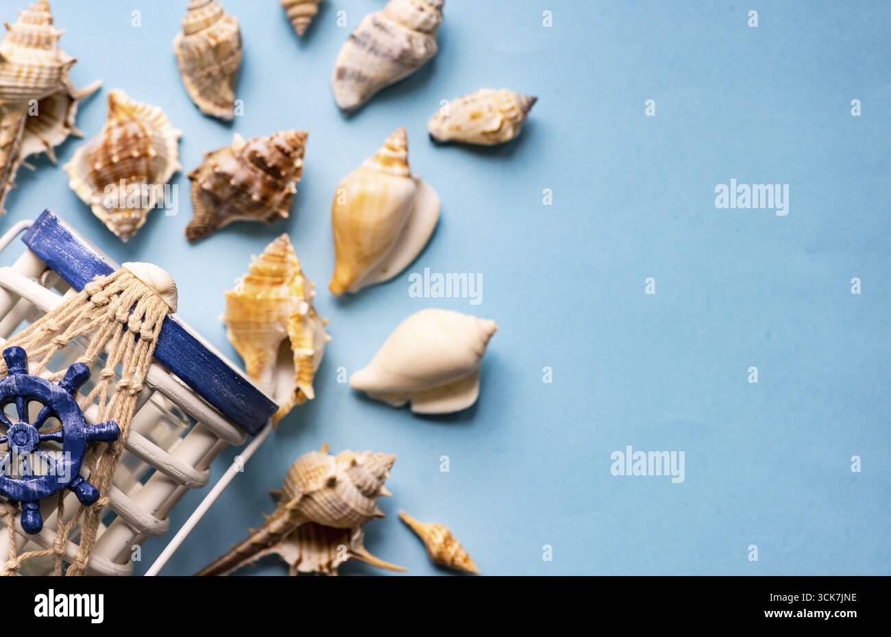 Flat lay summer composition with sea shells on blue background with copy space Stock Photo