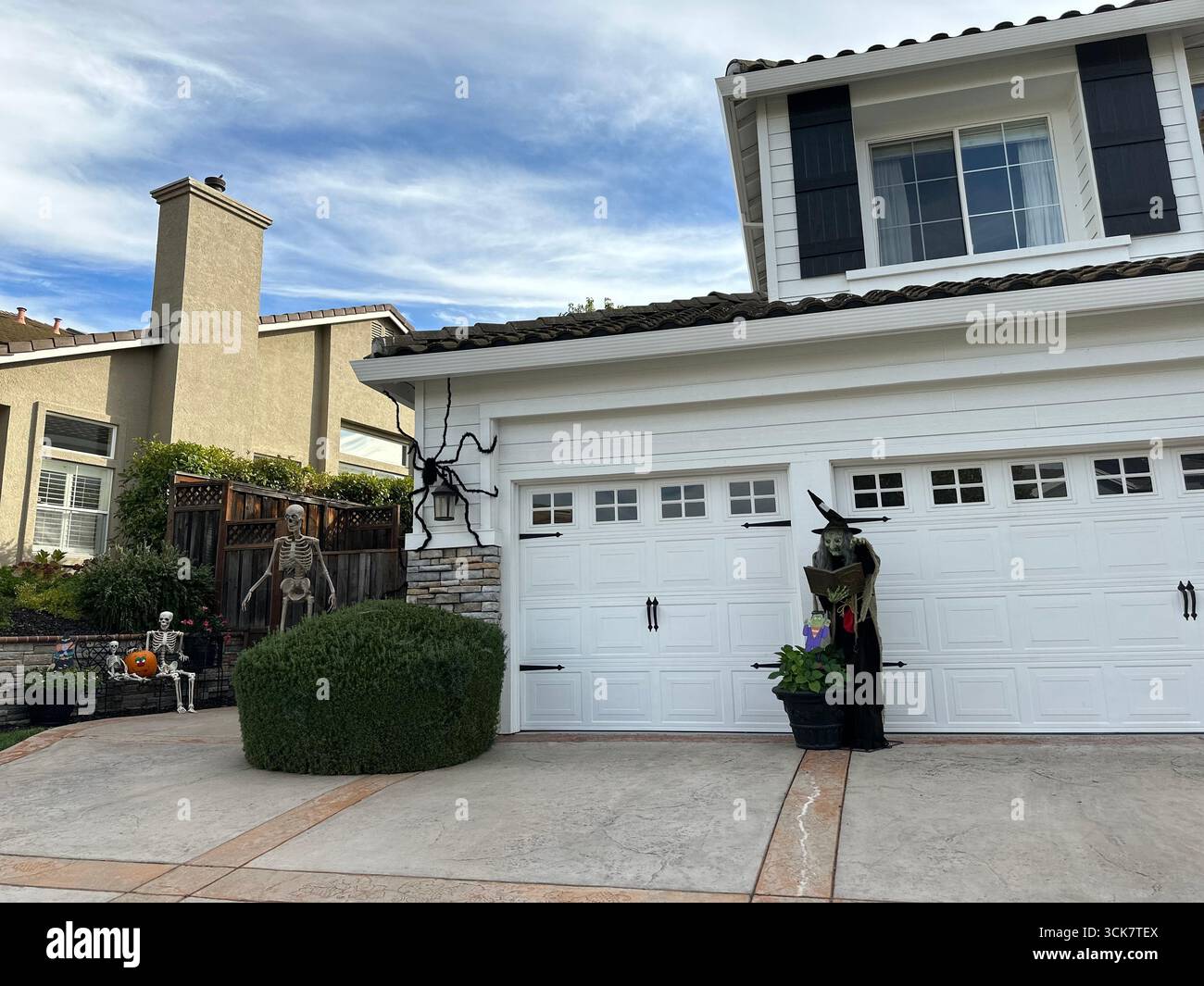 Halloween Yard with Skeletons, Witch, and Giant Spider - Smartphone Captured Stock Image