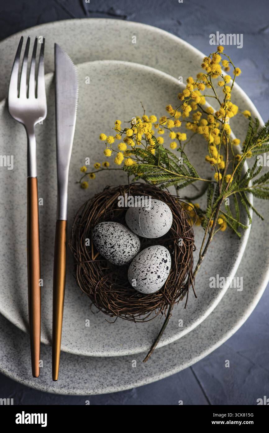 Festive table setting with mimosa flowers for easter holiday dinner Stock Photo