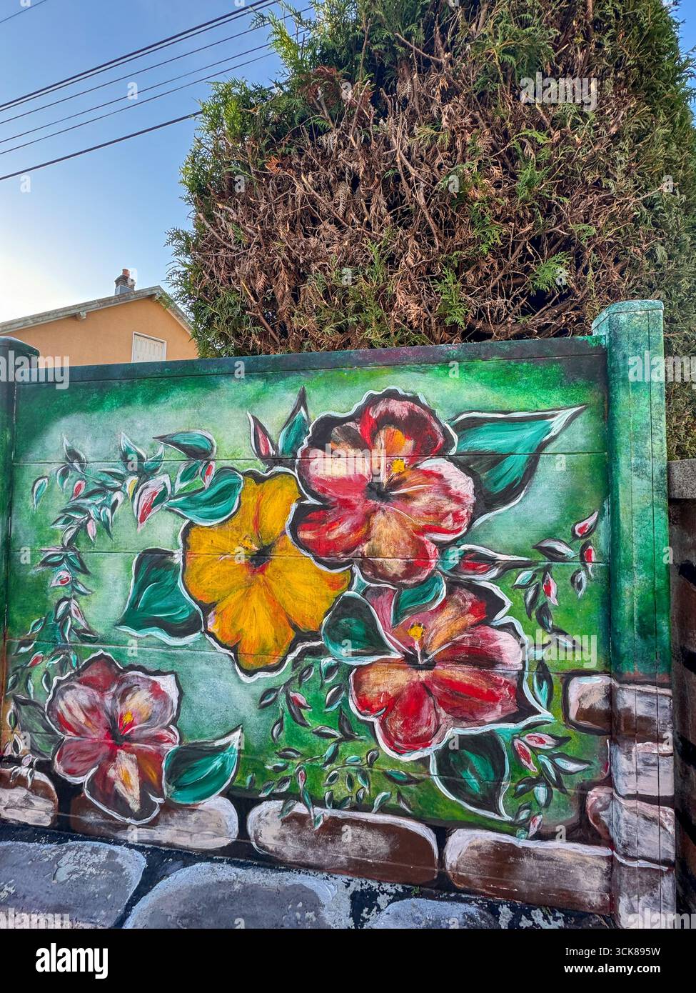 House facade with colorful floral mural, with large red, yellow and pink flowers, and green leaves. - Smartphone Captured Stock Image