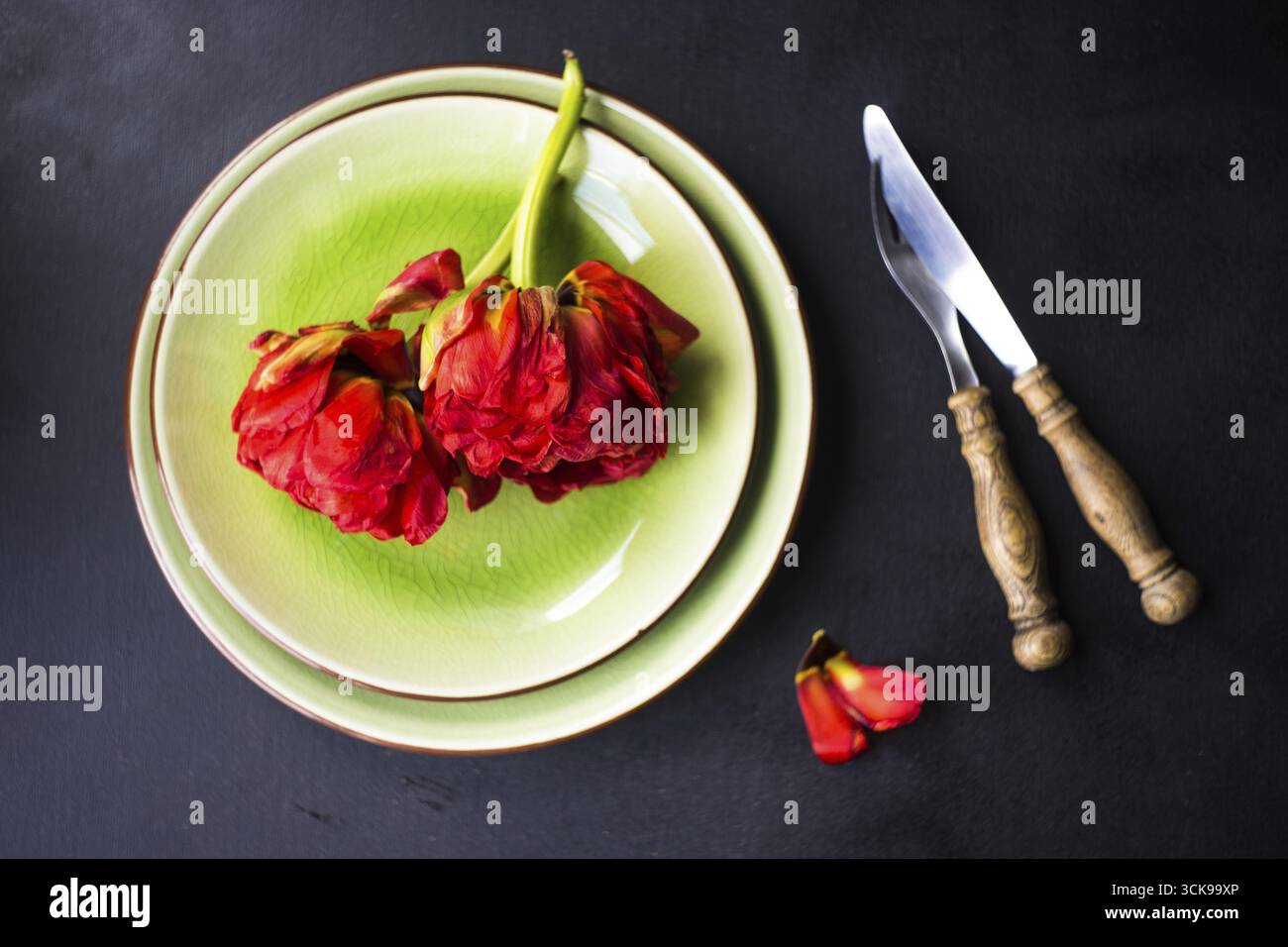 Summer table setting decorated with Red Princess tulips on rustic background Stock Photo
