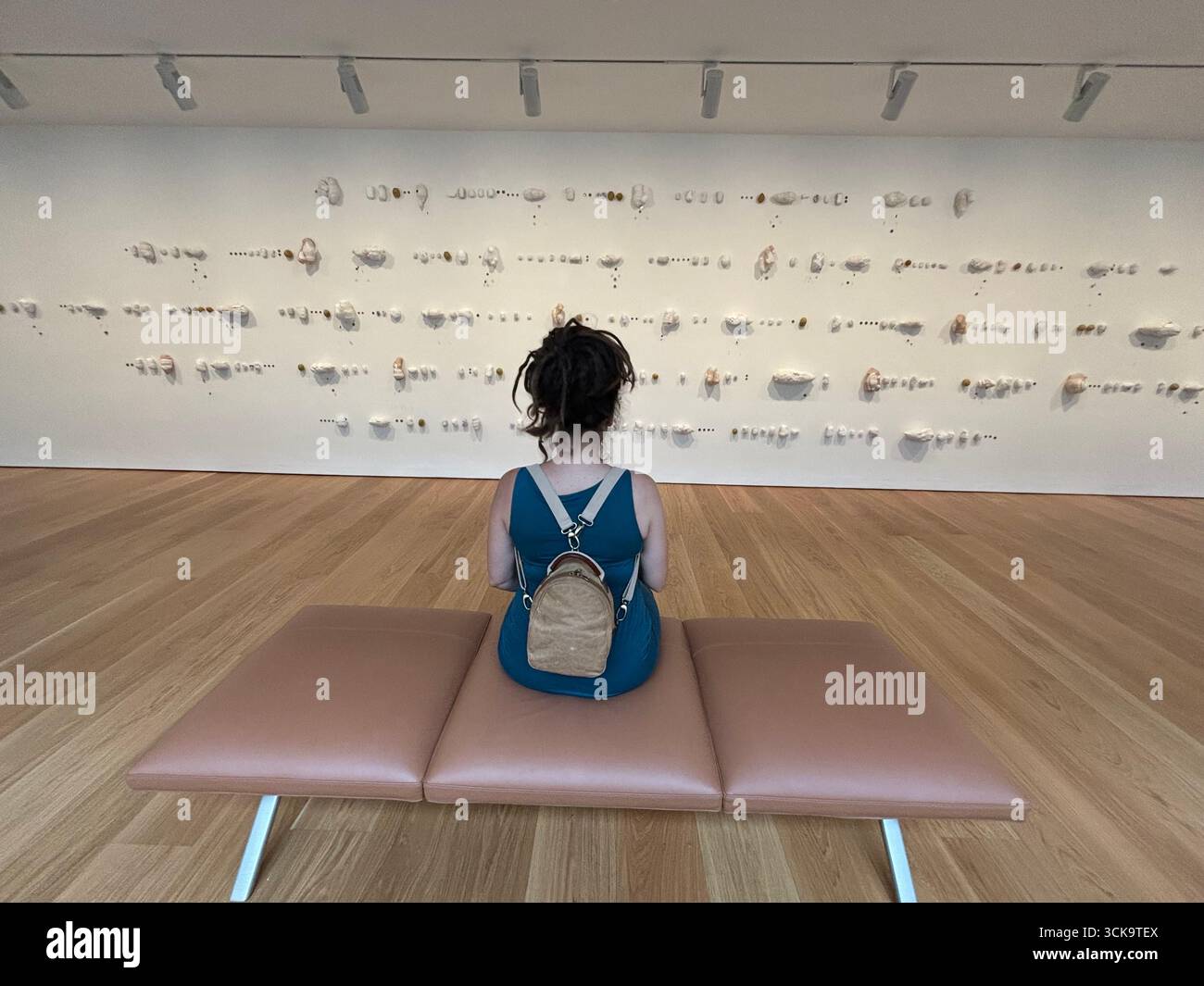 Woman viewing Denisa Lehocka permanent installation Bez nazvu Untitled at Slovak National Gallery SNG before controversial removal ordered - Smartphone Captured Stock Image