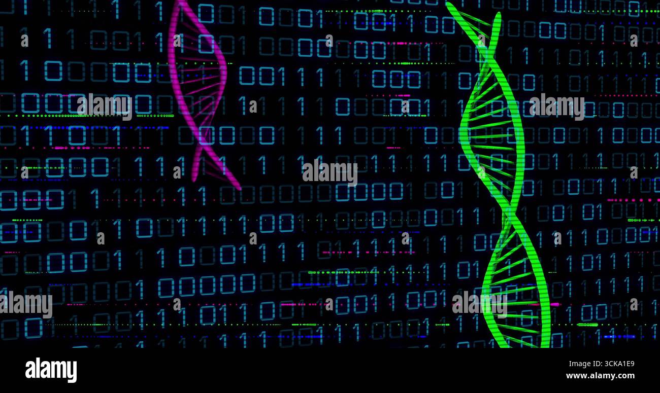 Streaming binary code across virtual data grid with neon green and magenta DNA helices, copy space Stock Photo