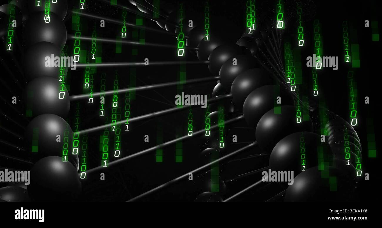 Stylized double helix floating in space with black spheres, rods, falling green binary digits Stock Photo