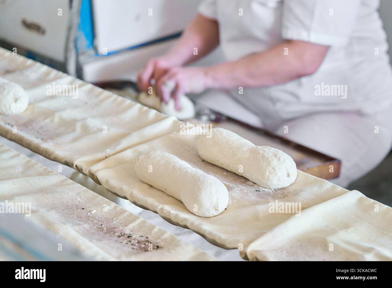 Dough being shaped and moved along the conveyor during the bread-making process in a bakery facility Stock Photo