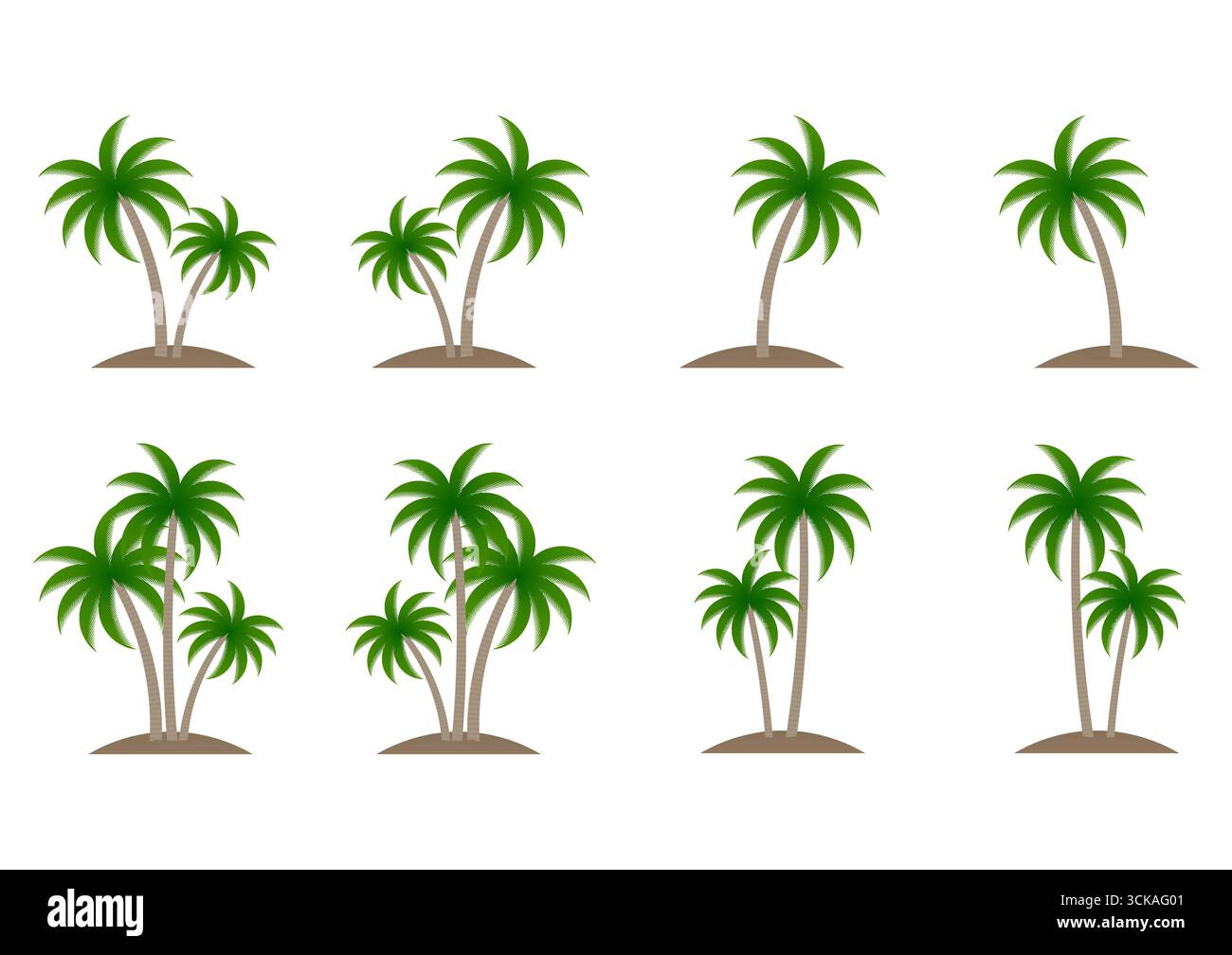Coconut Tree or  Palm Tree Vector Illustration Isolated on White Background. Stock Vector