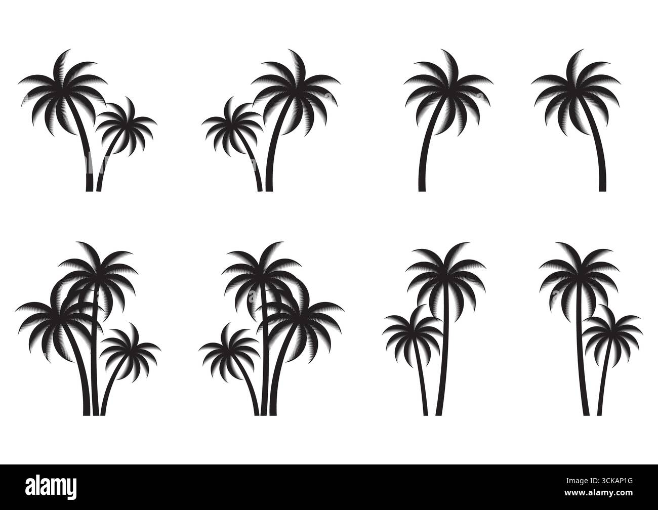 Coconut Tree or  Palm Tree Vector Illustration Isolated on White Background. Stock Vector